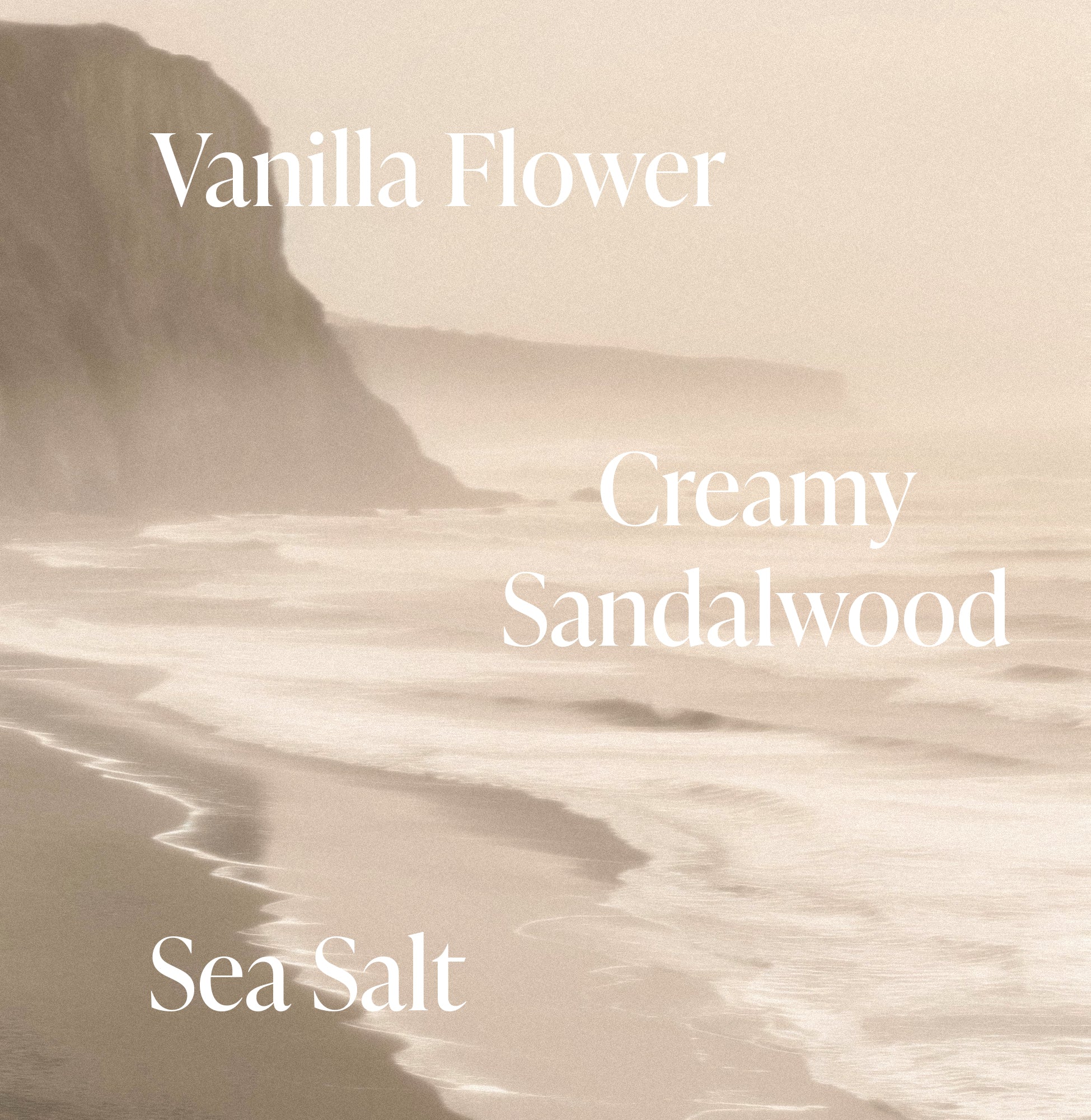 3-SLTR_PDP_SaltWaterVanilla_FragranceNotes_1_3000x.jpg