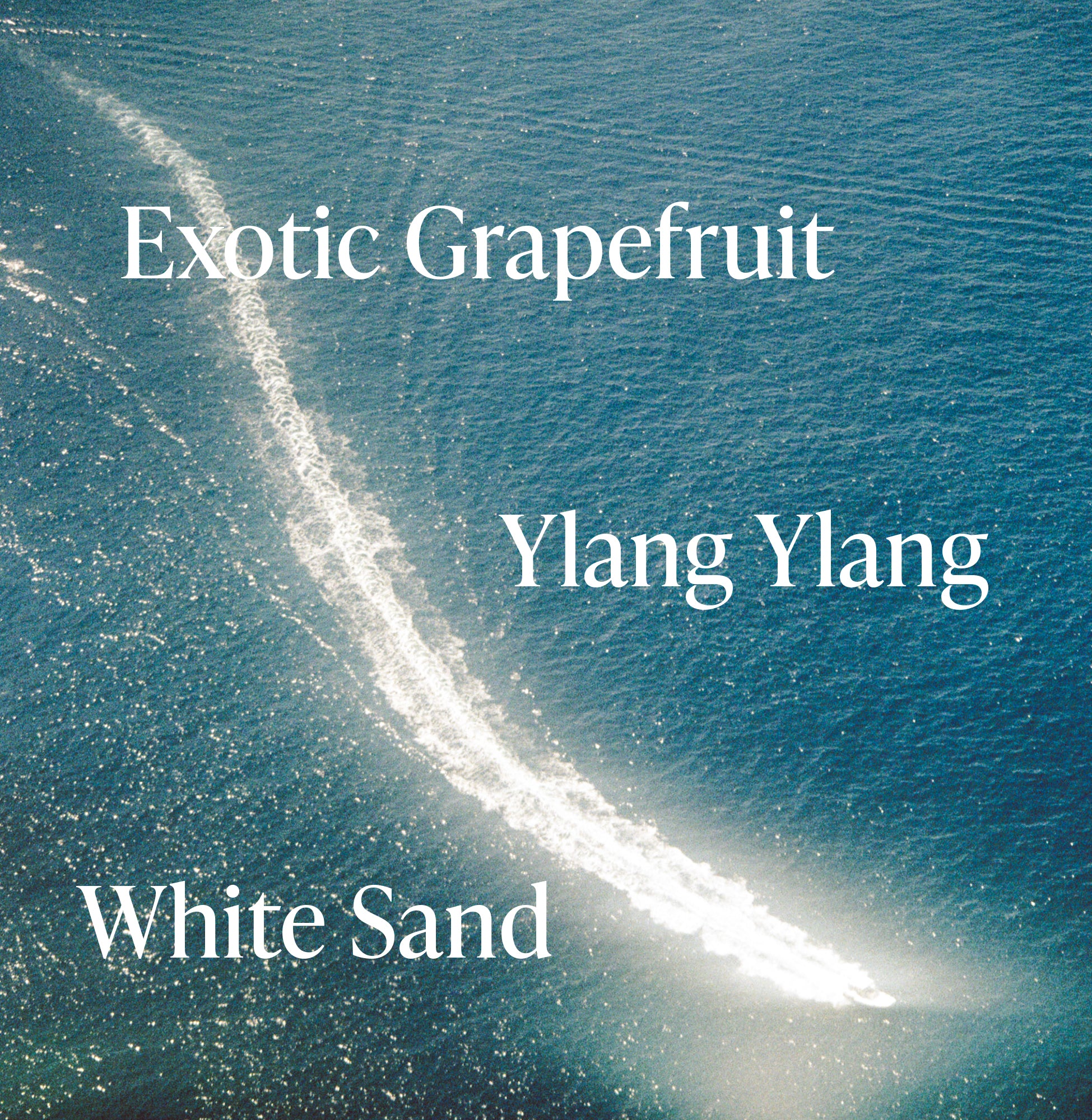 3-Seascape_Fragrance-Notes_95262050-3939-4fd1-bc6f-3536bdd3184d_3000x.jpg