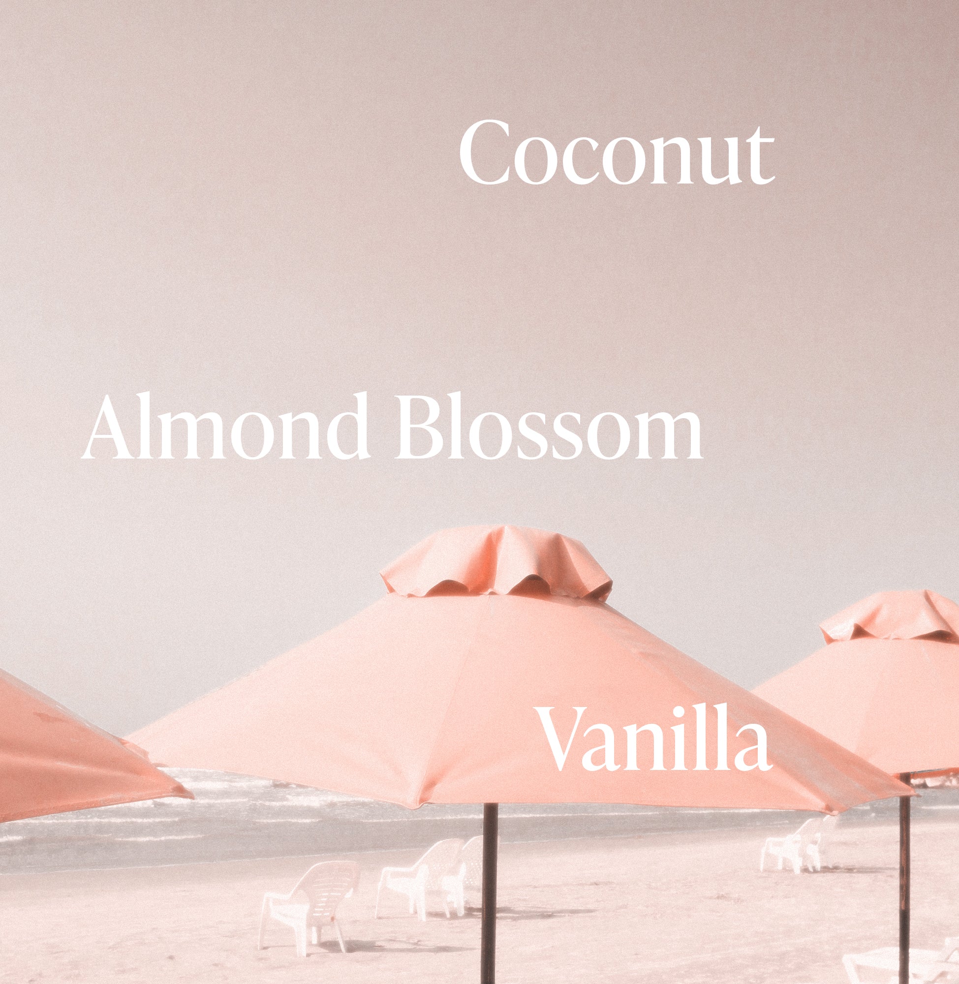 4-Pink-Beach_Fragrance-Notes_57a2fe19-b495-4fb7-b2d5-03376f0cbfcc_3000x.jpg