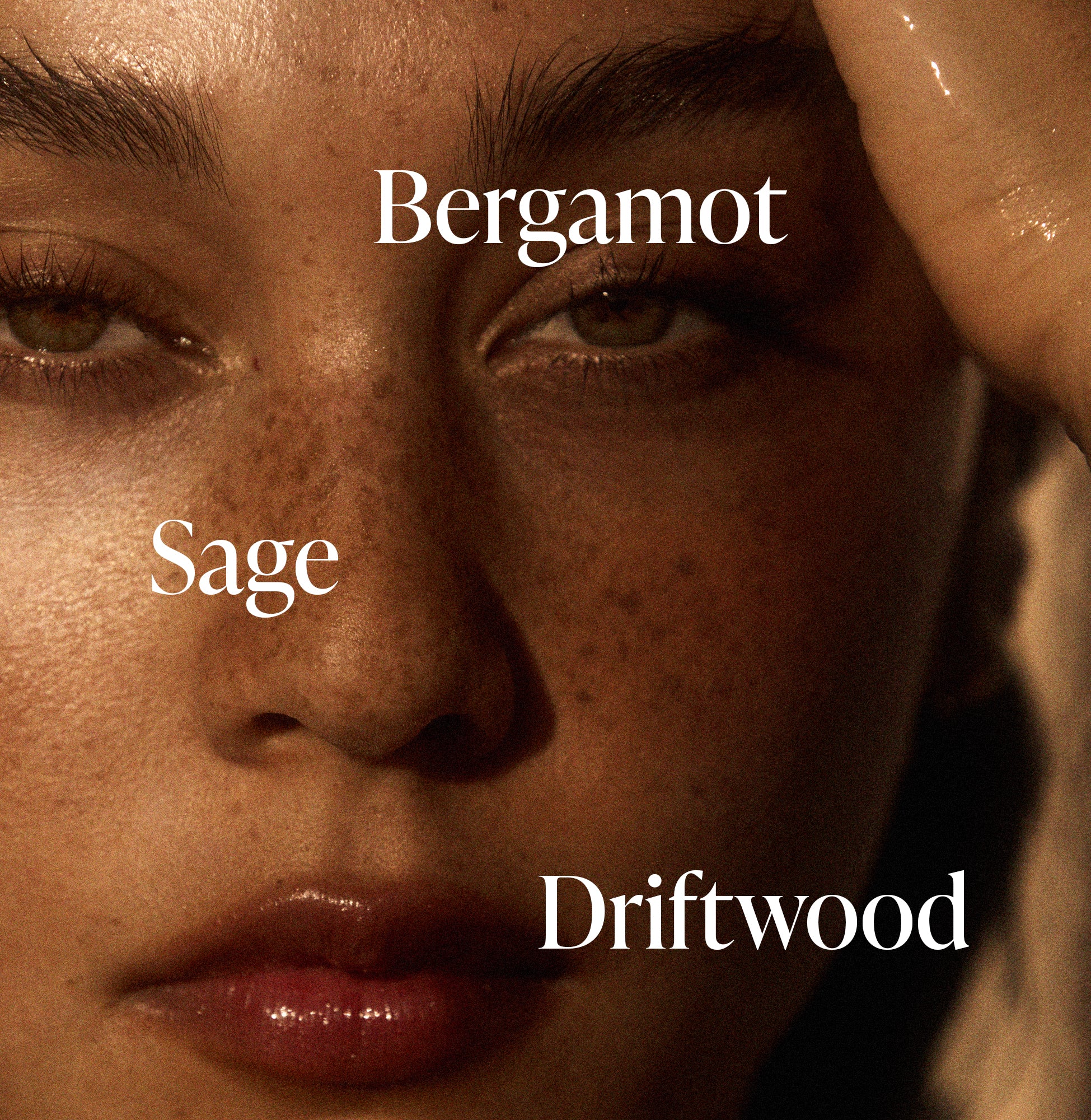 5-SLTR_PDP_FragranceNotes_Driftwood_1_3000x.jpg