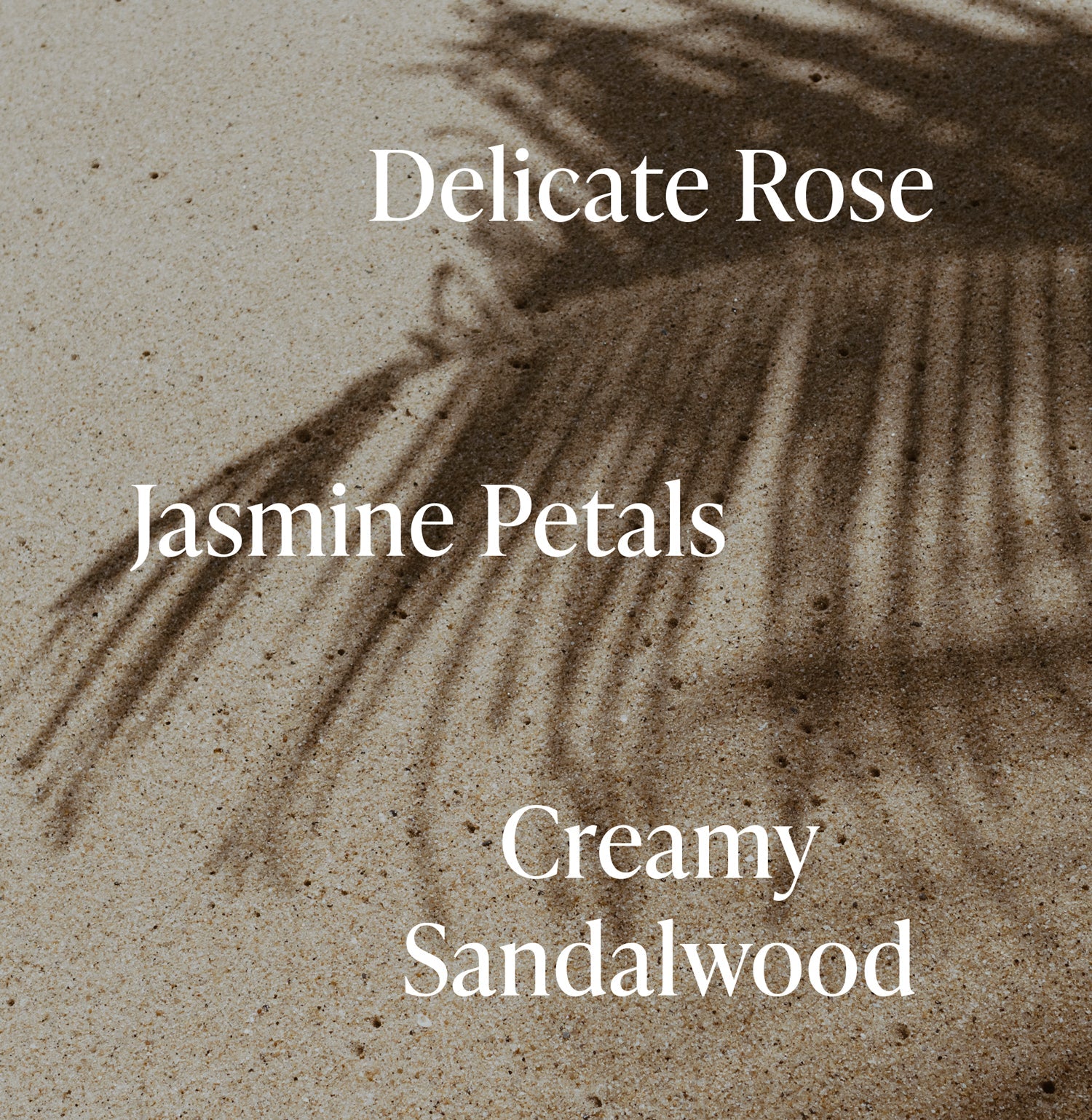 Moisture-Bound_Haircare_Notes_Santal-Bloom_e9f917ea-d992-4f09-86ed-8cdc43a84cbc_3000x.jpg